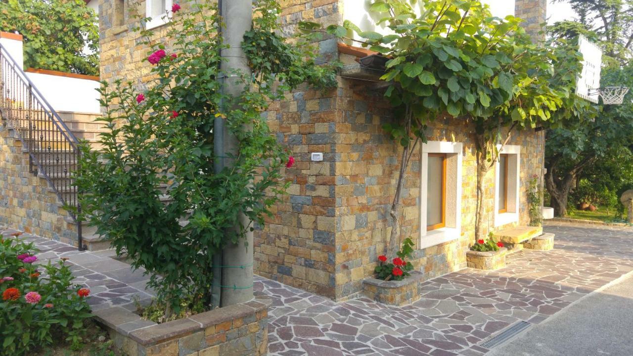 Kmetija Jogan, Wines & Apartments Pobegi Екстер'єр фото